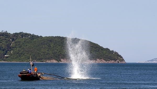 Tăng cường kiểm soát các hình thức đánh bắt cá để bảo vệ nguồn lợi hải sản (17/01/2018)